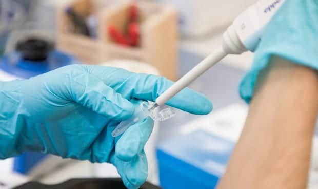 China confirma a niño como primer caso humano de gripe aviaria H3N8