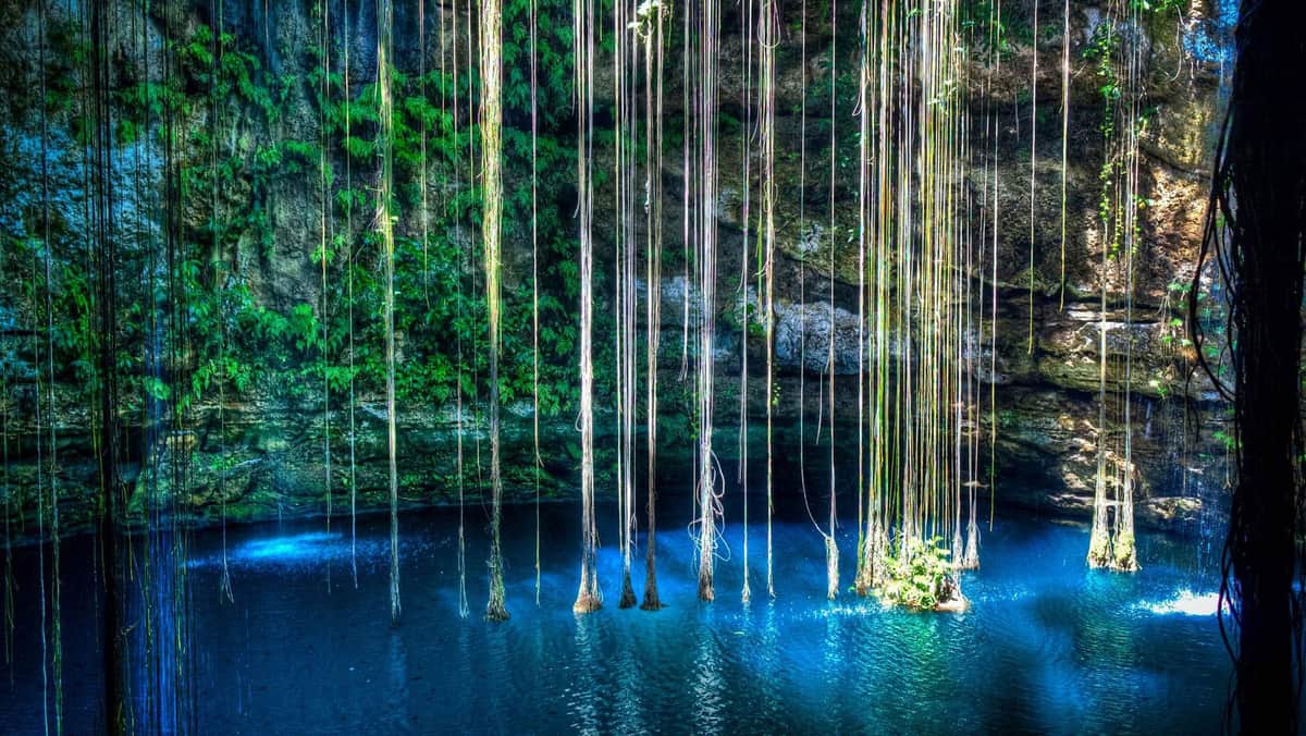 Enamórate de esta ruta de 8 cenotes por Yucatán ¡Te encantará!