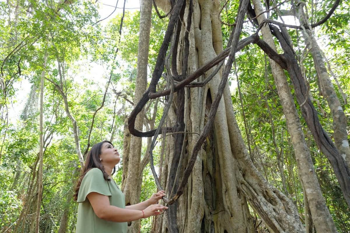 Garantizar el aprovechamiento de los recursos naturales, propone Blanca Merari
