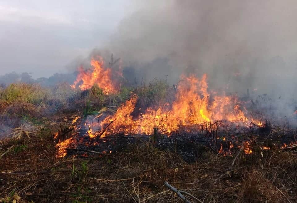 Hasta el momento se reportan 9 incendios forestales con afectaciones de 97 hectáreas