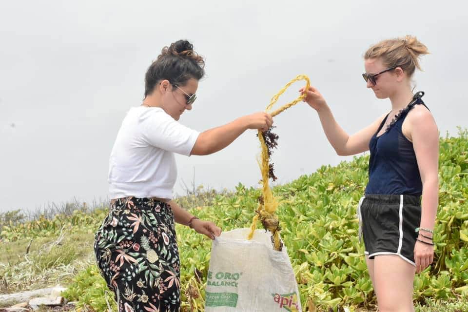 Recolectan basura y residuos de playas de Mahahual para la anidación de tortugas marinas