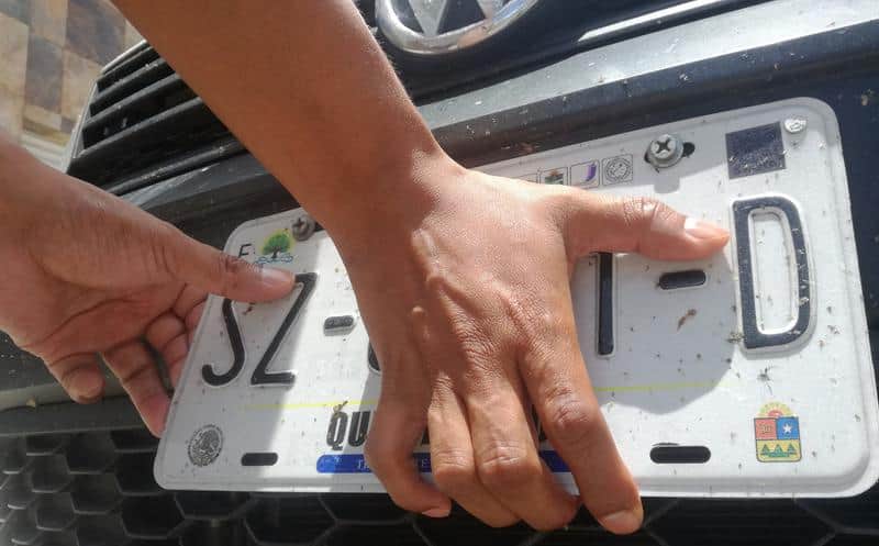 Advierten de varios casos de robo de placas en Playa del Carmen