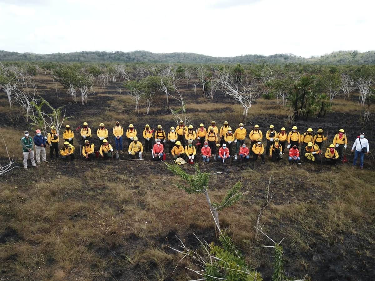 Incendios forestales han afectado casi 140 hectáreas de Quintana Roo