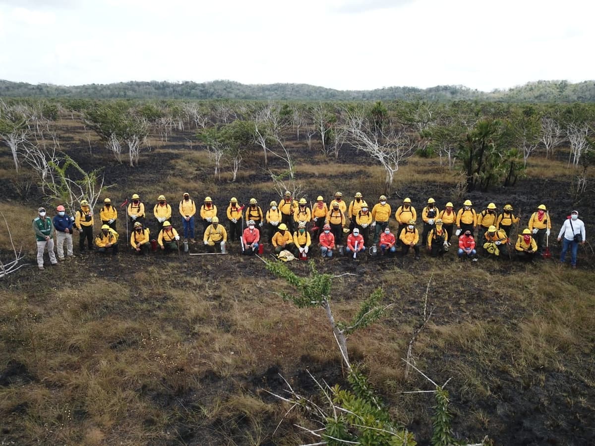 Incendios forestales han afectado casi 140 hectáreas de Quintana Roo