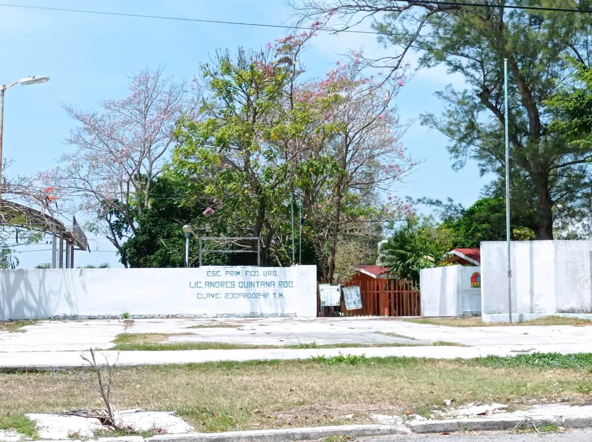 SNTE insiste en la inmunización como condición para el regreso a clases presenciales