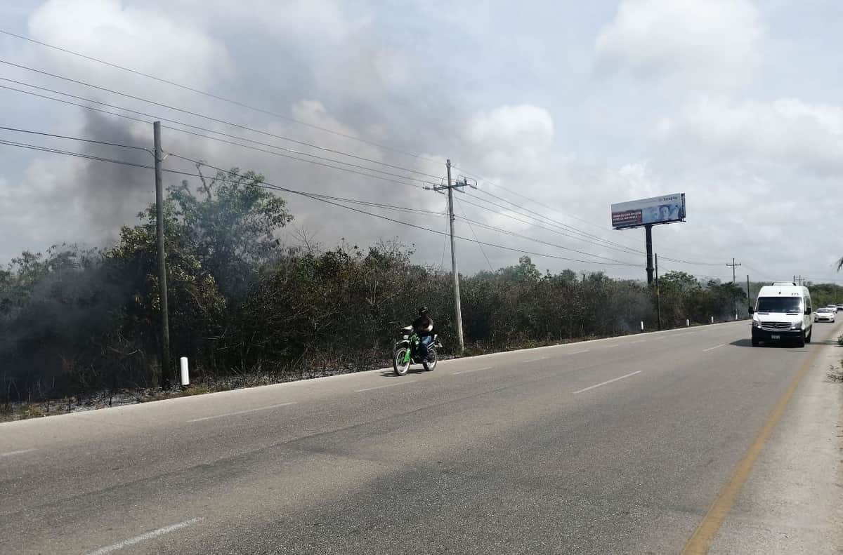 Piden el apoyo de la gente para prevenir más incendios forestales