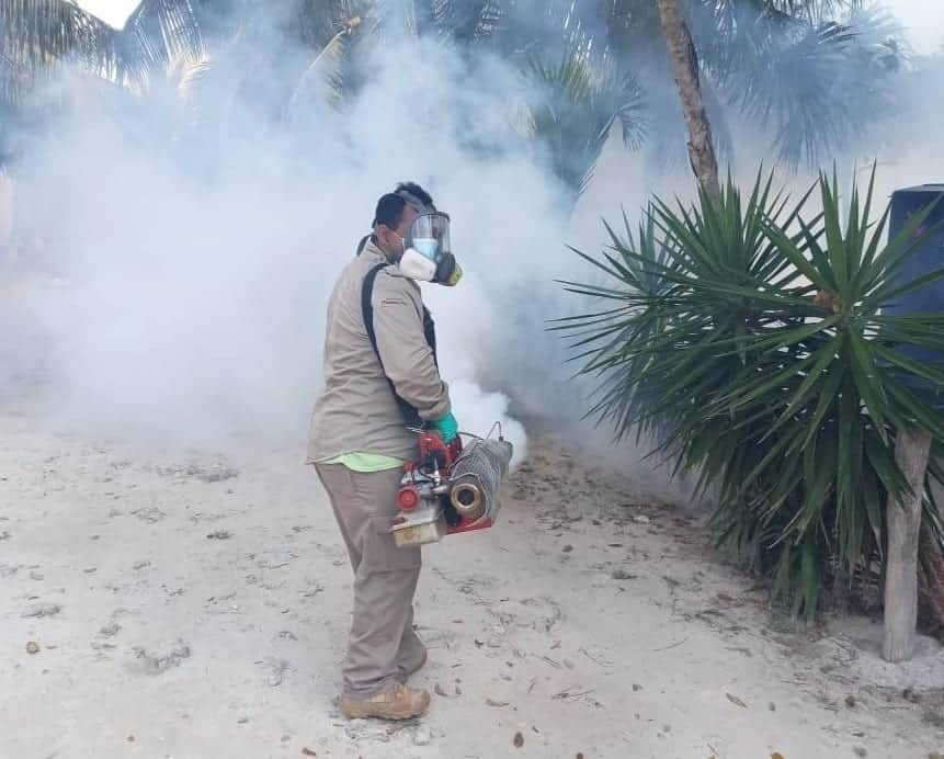 Gobierno de Quintana Roo intensifica nebulización en el sur del estado