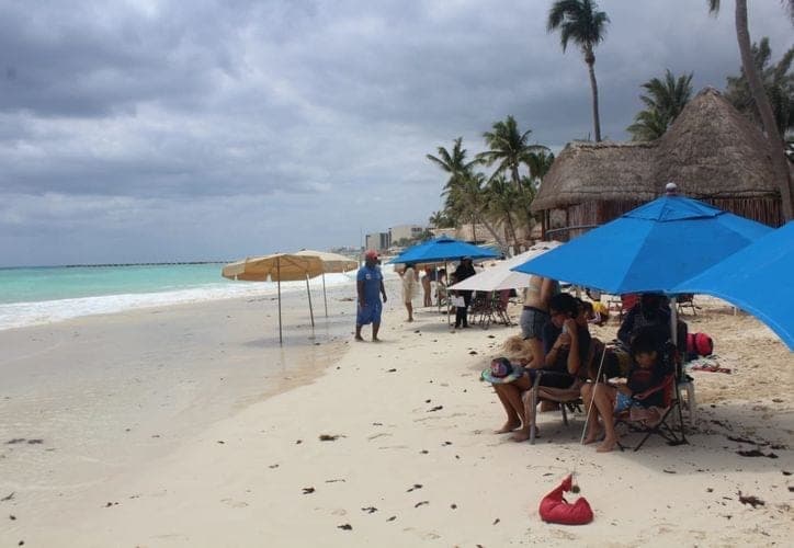 Playas libres de sargazo en Playa del Carmen gracias a vientos del Norte