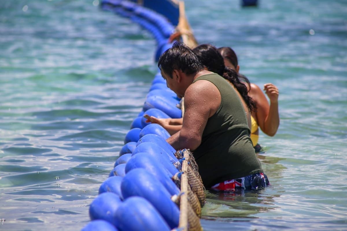 Frente común de los hoteleros de la Riviera Maya para atacar al sargazo
