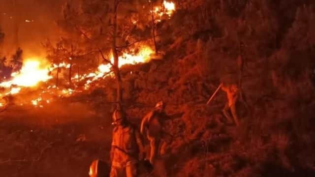Impiden vientos fuertes sofocar el incendio en el Bosque de la Primavera, en Jalisco