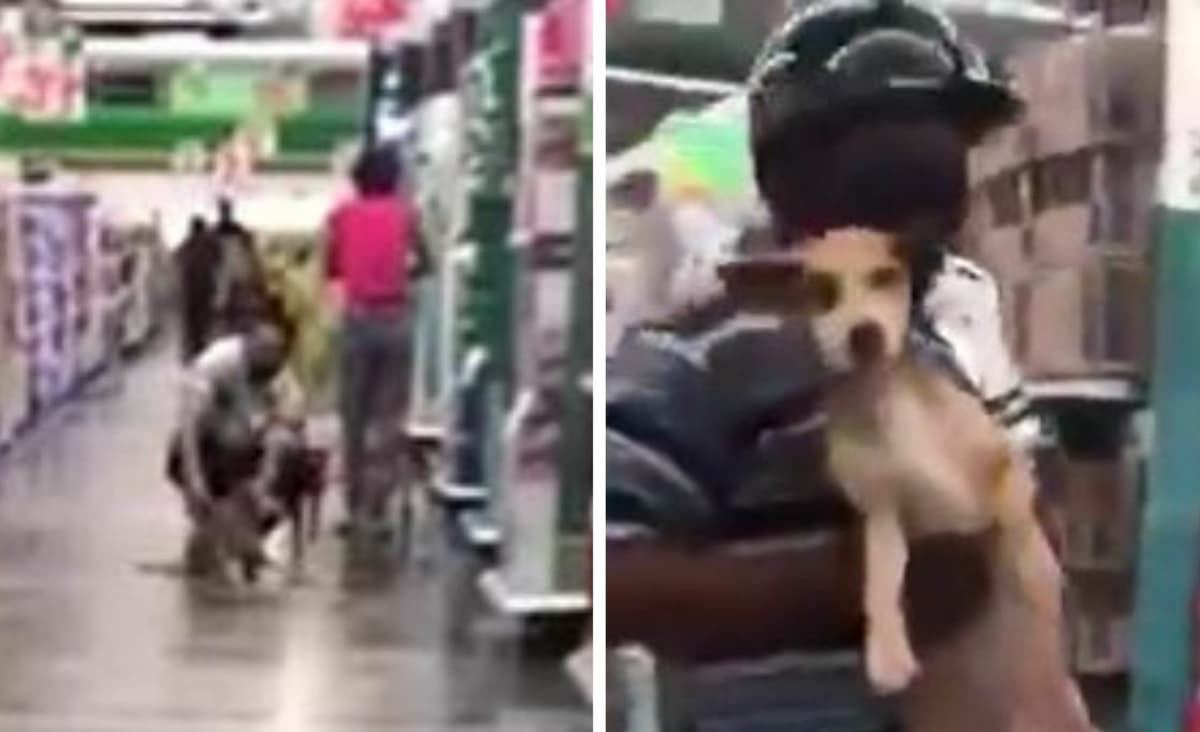 VIDEO: Perrito burla la seguridad de supermercado de Cancún para seguir a su dueño