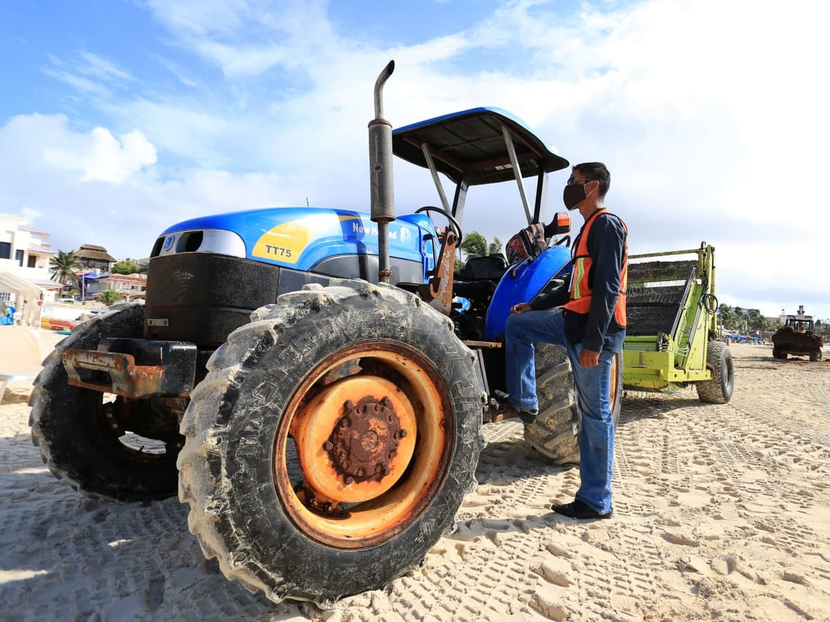 Continúan las intensas labores de recoja de sargazo en Playa del Carmen