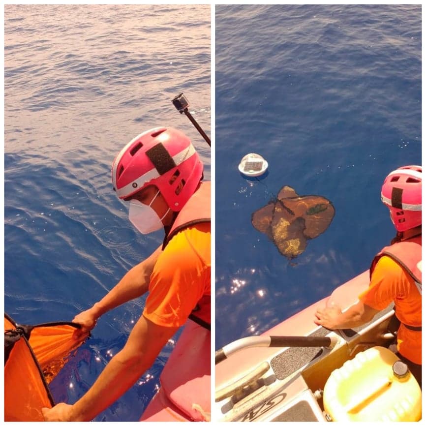 Liberan tres sondas para estudiar trayectoria del sargazo en aguas del Caribe