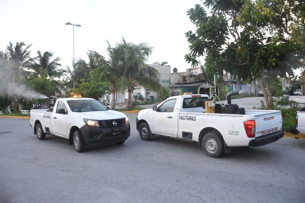 Continúan en Tulum las fumigaciones en comunidades para erradicar mosquitos