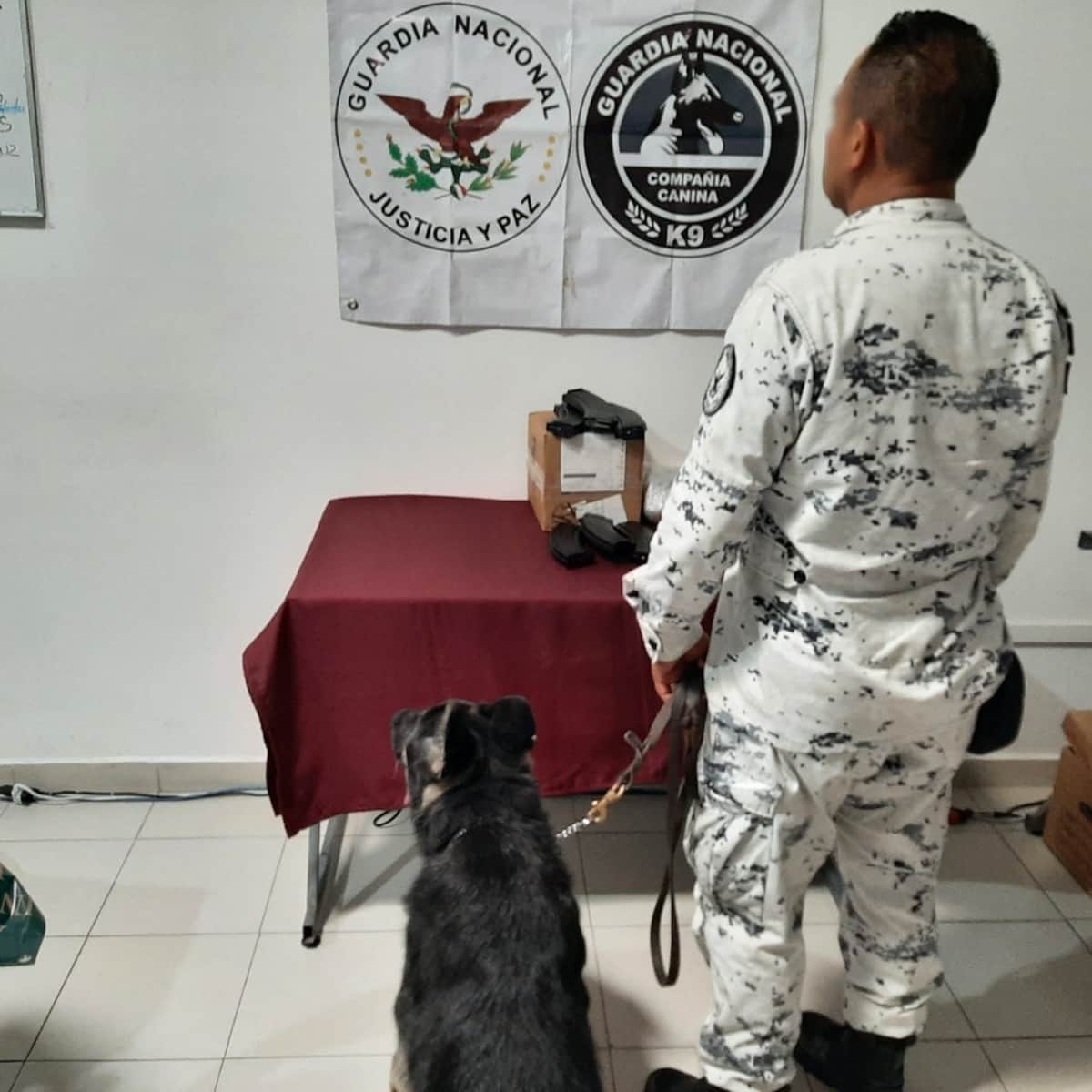 Asegura Guardia Nacional cargadores de armas en empresa de mensajería de Cancún