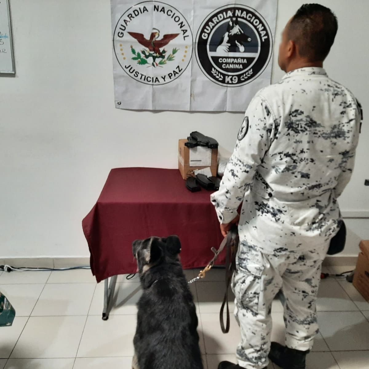 Asegura Guardia Nacional cargadores de armas en empresa de mensajería de Cancún
