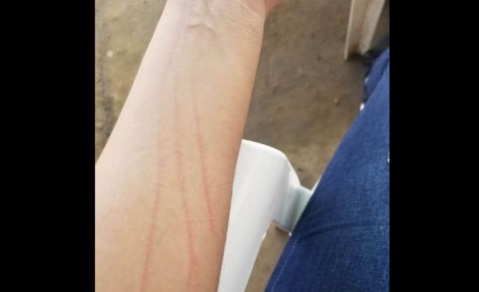 Se salva de ser "levantada" por un hombre y dos mujeres: sabía defensa personal y chico la ayuda