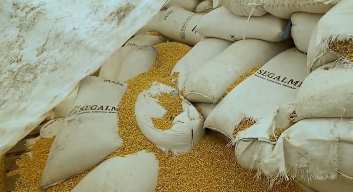 Toneladas de maíz se pierden en Chiapas y lo venden en Guatemala, pertenecen a Segalmex
