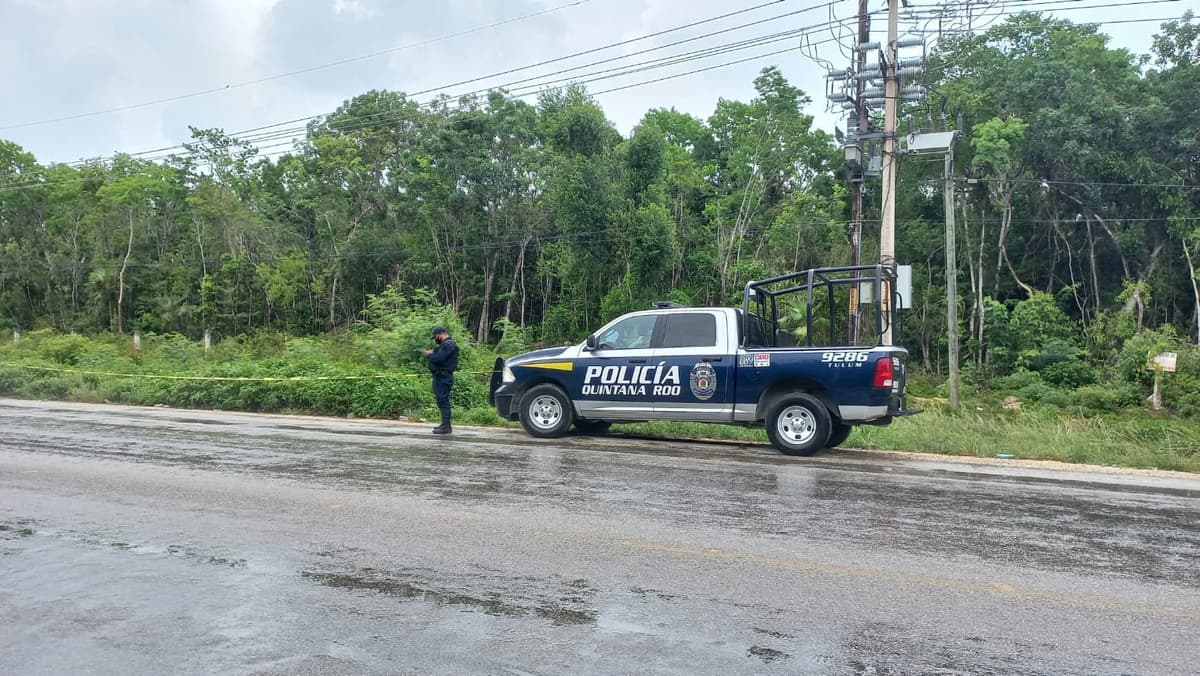 Descubren un cadáver putrefacto cerca de la Fiscalía de Tulum