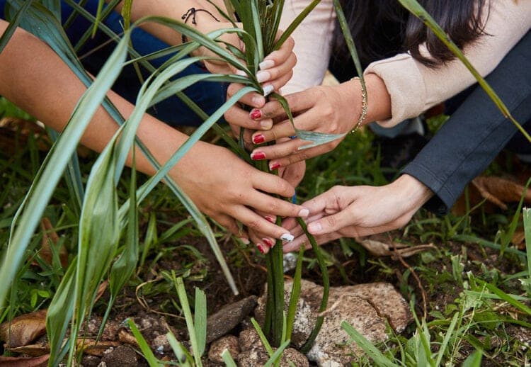 México se suma a la iniciativa de la ONU para restaurar ecosistemas