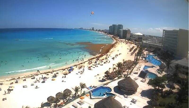 FOTOS: Playas de Cancún pierden su característico azul turquesa por el sargazo