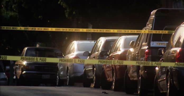 Una mujer es detenida en EU por llevar en su auto los cadáveres de sus sobrinos