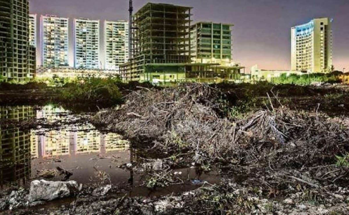 Cumple seis años defensa ciudadana de Tajamar; no llega castigo a ecocidas