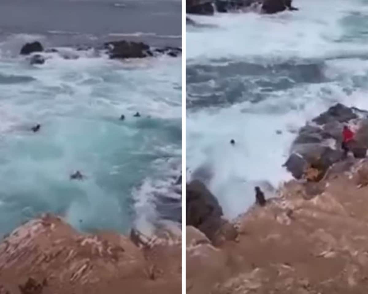 VIDEO: Turistas son arrastrados al mar por una ola en Baja California