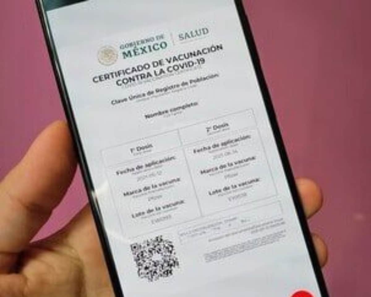 Certificado de vacunación, descárgalo en línea aquí y ahora ¡Te decimos cómo! -Dr. Armando Vaccuno