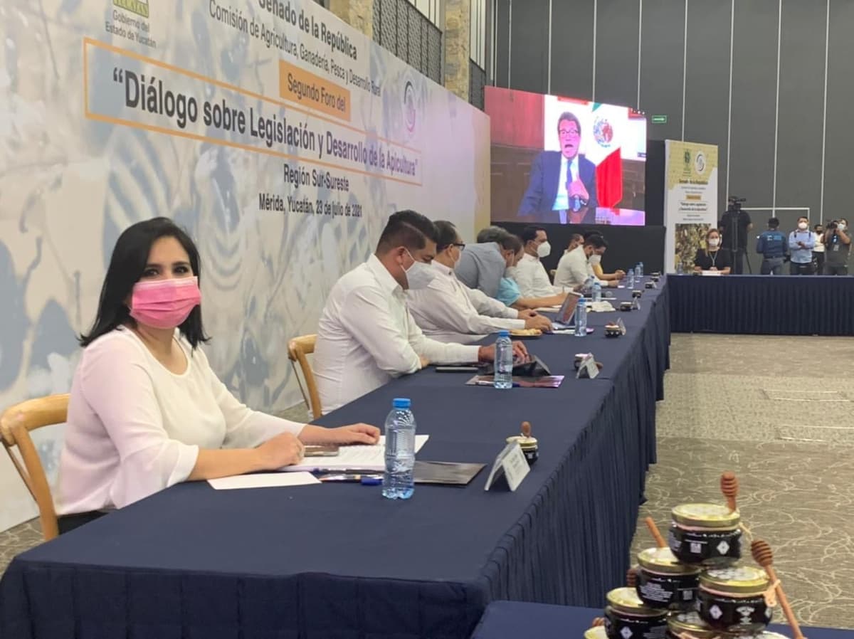 Participa senadora Mayuli Martínez en foro sobre apicultura