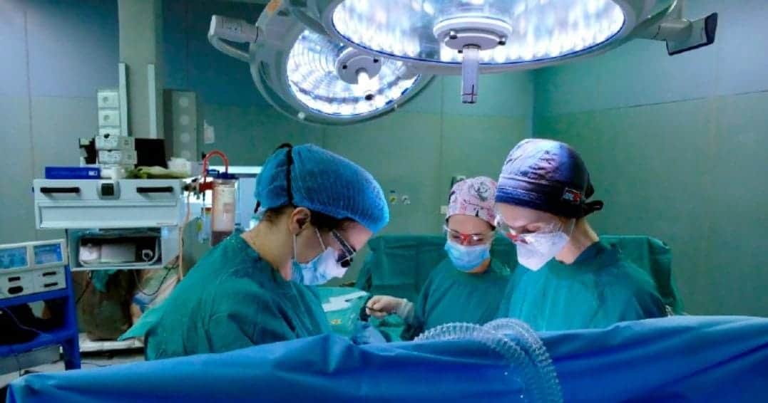 ¡Grave error! Realizan trasplante de riñón al paciente equivocado