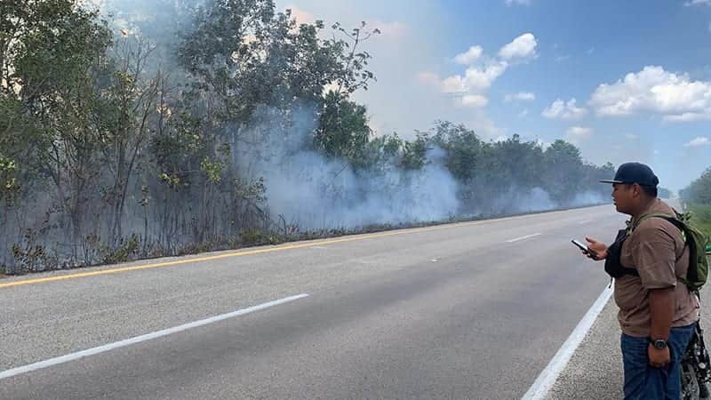 Suman 8 incendios forestales atendidos en Puerto Morelos, dos siguen activos