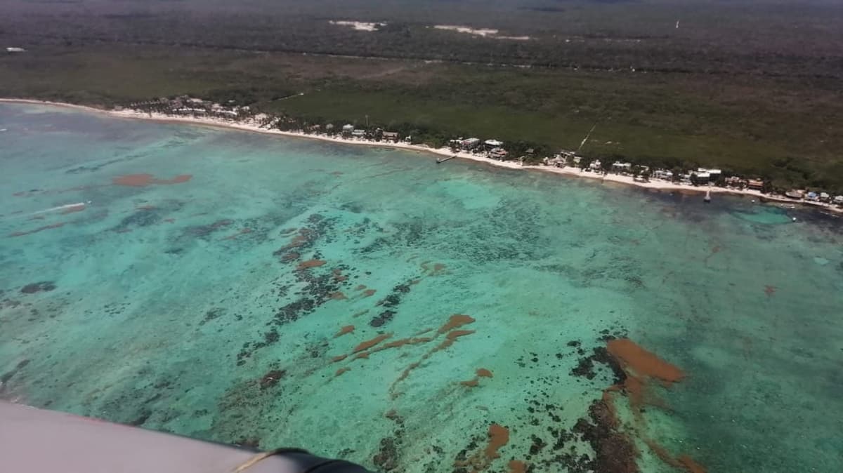 EXPERIMENTARÁN EN PUERTO MORELOS: Implementarán embudo sargacero