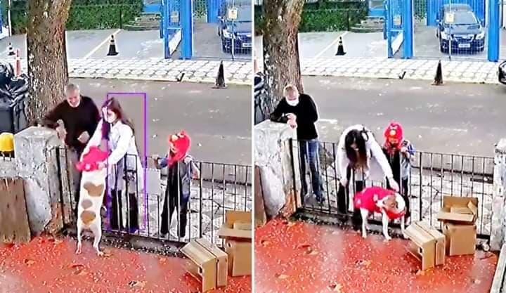 VIDEO: Regalan nuevo suéter a perrito que fue engañado y asaltado por un ladrón