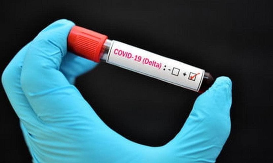 Alerta la OPS por casos de variante Delta en Quintana Roo, BCS y Cdmx