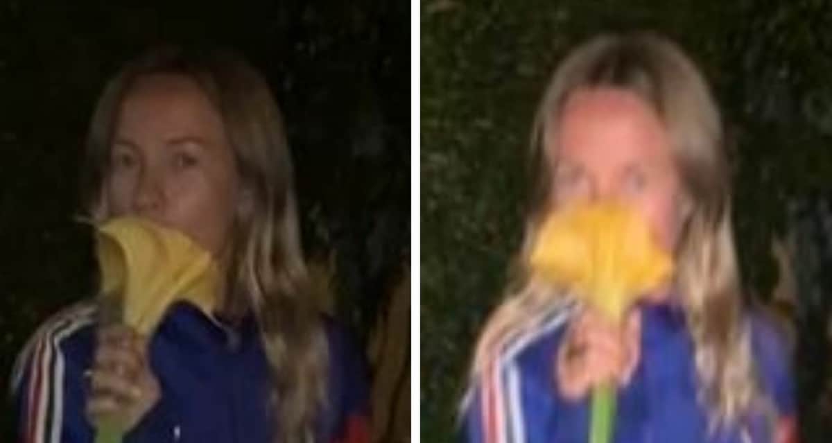 VIDEO: Tiktoker inhala una flor por su 'delicioso aroma', se intoxica y alucina