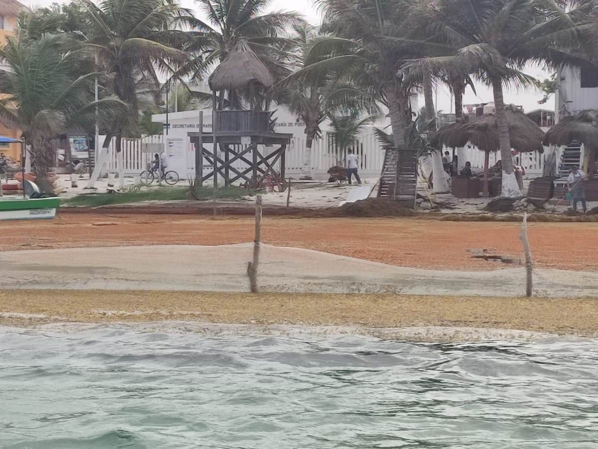 La Secretaria de la Marina no quiere volver a instalar barrera antisargazo en Mahahual