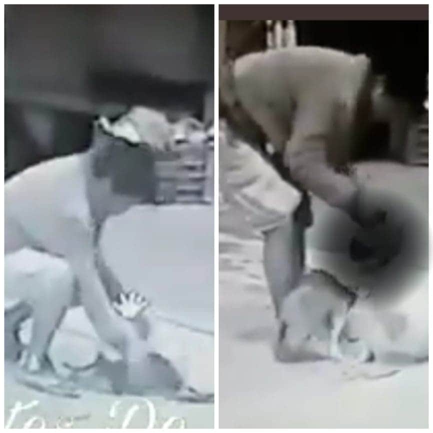 VIDEO EXTREMO: Transportaba una cabeza humana en Puebla y lo detienen