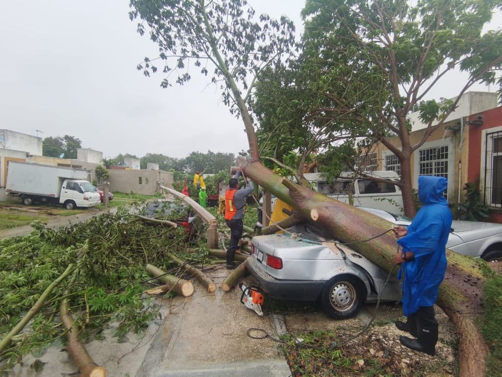 Saldo blanco en Puerto Morelos tras el paso de Grace