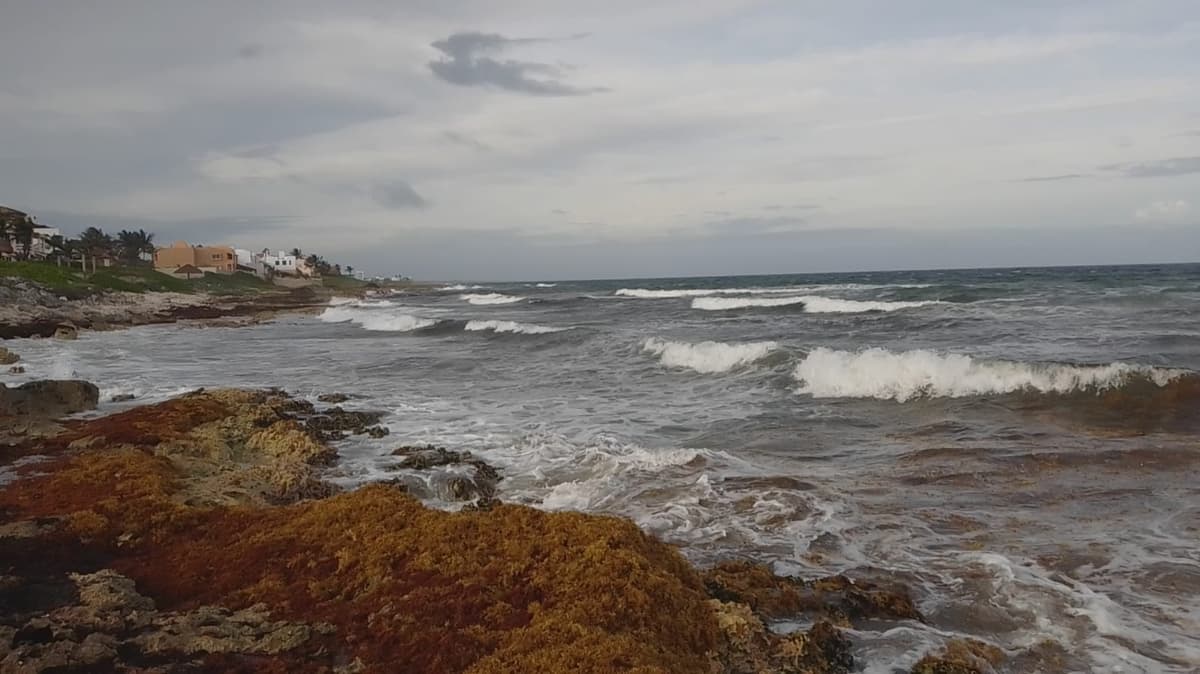 Vientos huracanados comienzan a sentirse en Akumal