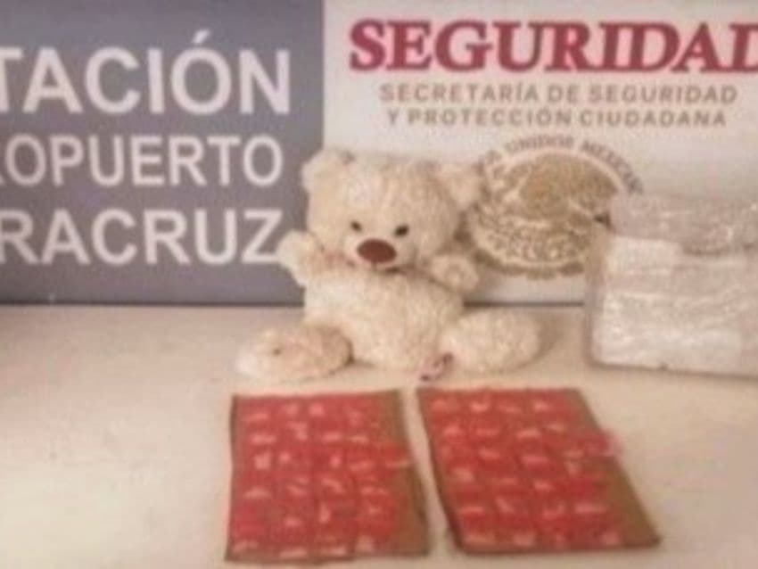 ¡Aseguran oso de peluche! Estaba repleto de dosis de cristal
