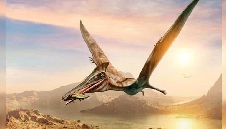 Encuentran fósil de un “dragón prehistórico” en Australia