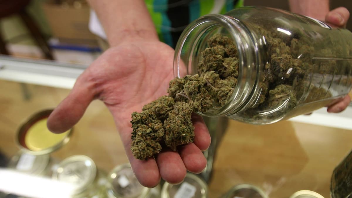 Festival Lollapalooza impulsa ventas de marihuana de uso recreativo y rompe un récord