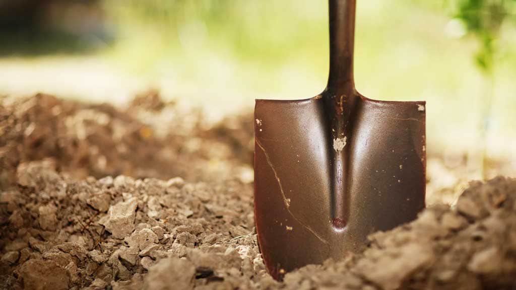 Encuentra un cheque de 450 mil pesos, lo devuelve y le dan como recompensa... una pala