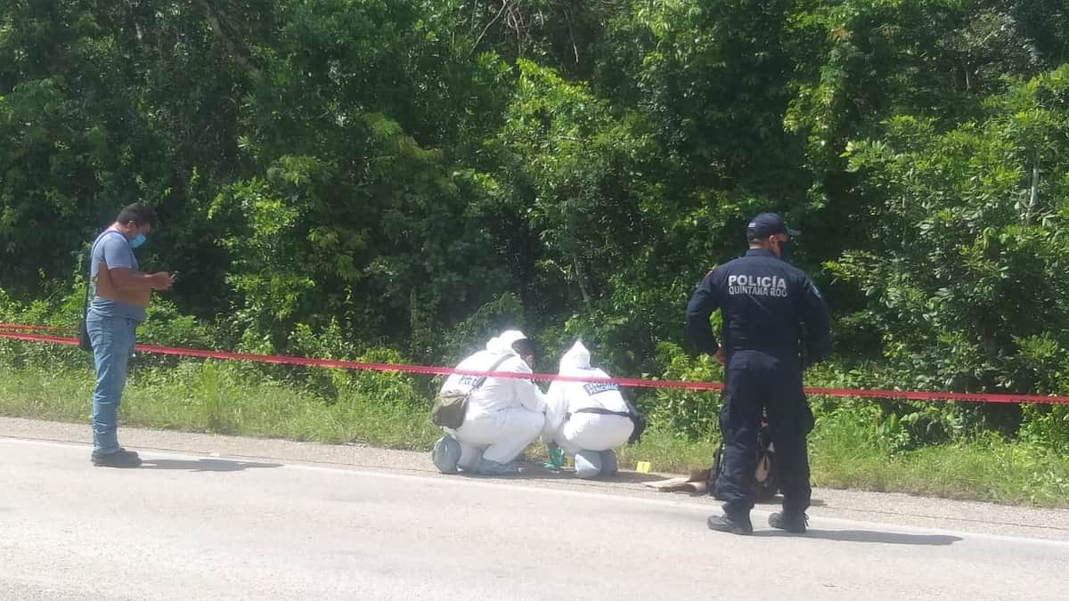 Hallan cadáver junto a carretera Cancún-Leona Vicario