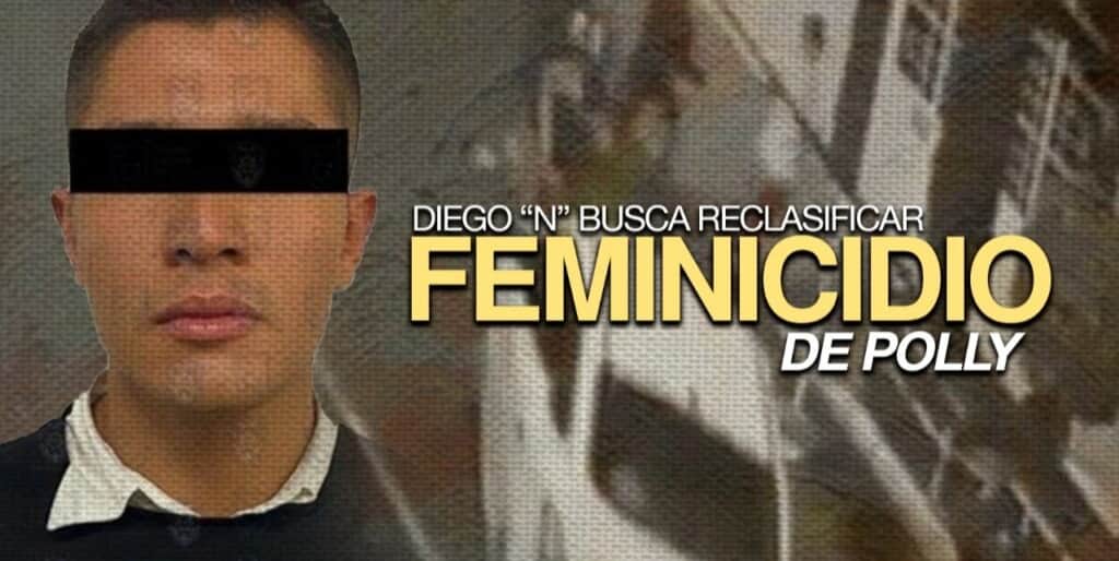 Diego 'N' busca reclasificar femicidio de Polly
