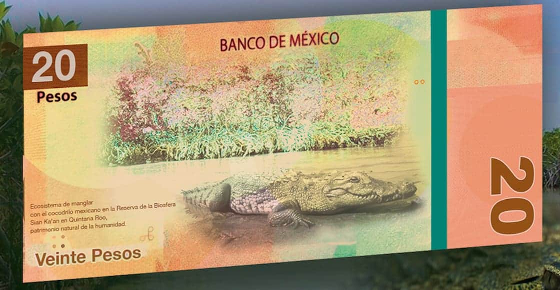 ¡Bellísimo! Sian Ka’an llega al billete de 20 pesos