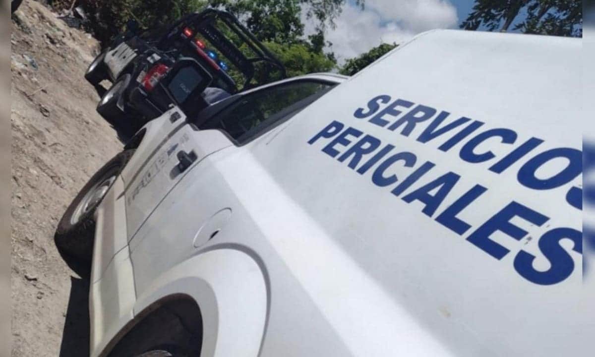 TRAGEDIA: Hallan el cuerpo de una mujer colgado de un árbol en Playa del Carmen