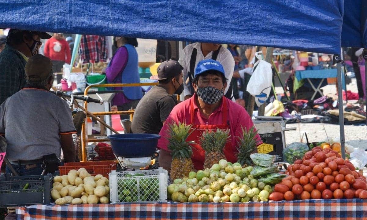 Senadora de Morena propone prohibir comercio informal, habría multa para ambulantes