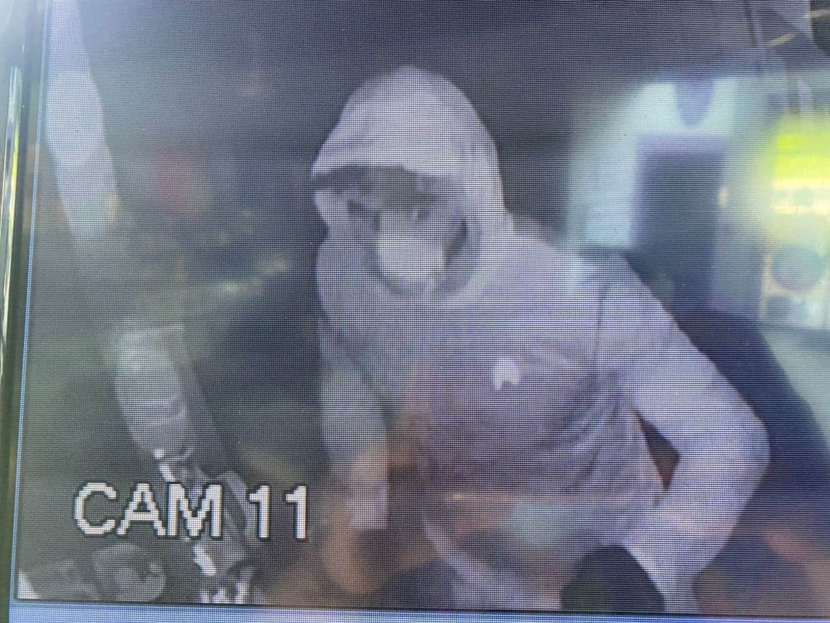 FOTOS: Roban material veterinario a Planned Pethood International Mexico